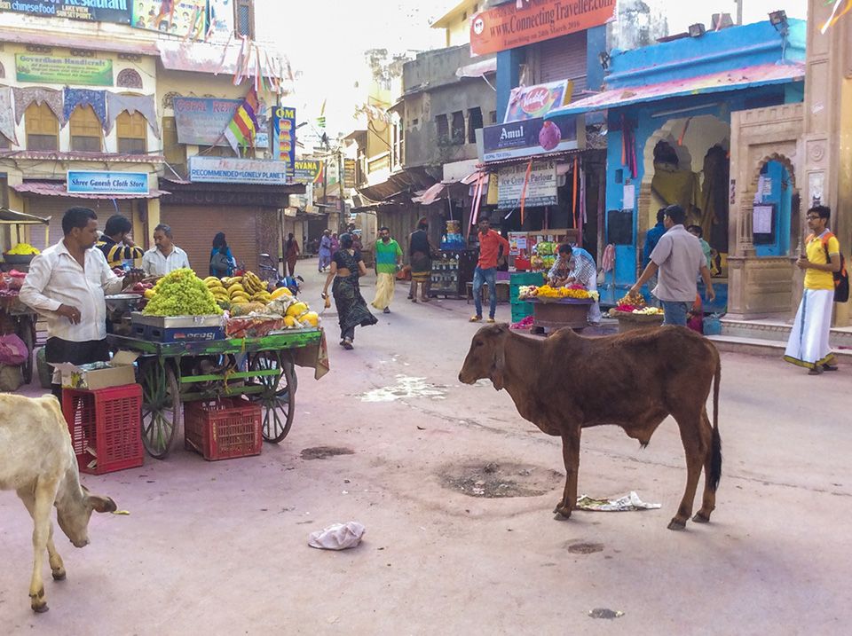 Englisch lernen in Neu Delhi