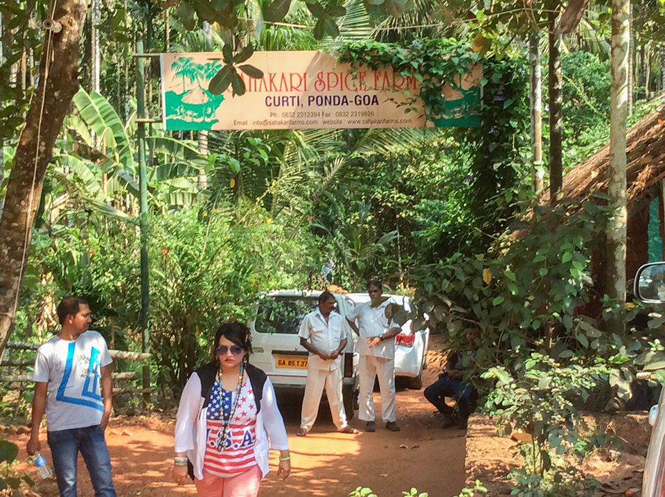 Englischkurse in Goa - Gewürzplantage