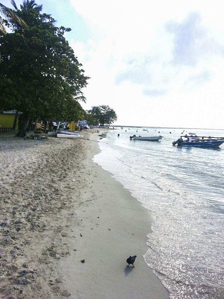 French language courses in Guadeloupe - beach near St. Anne