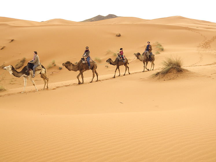 Arabisch lernen mit DESR Sprachreisen