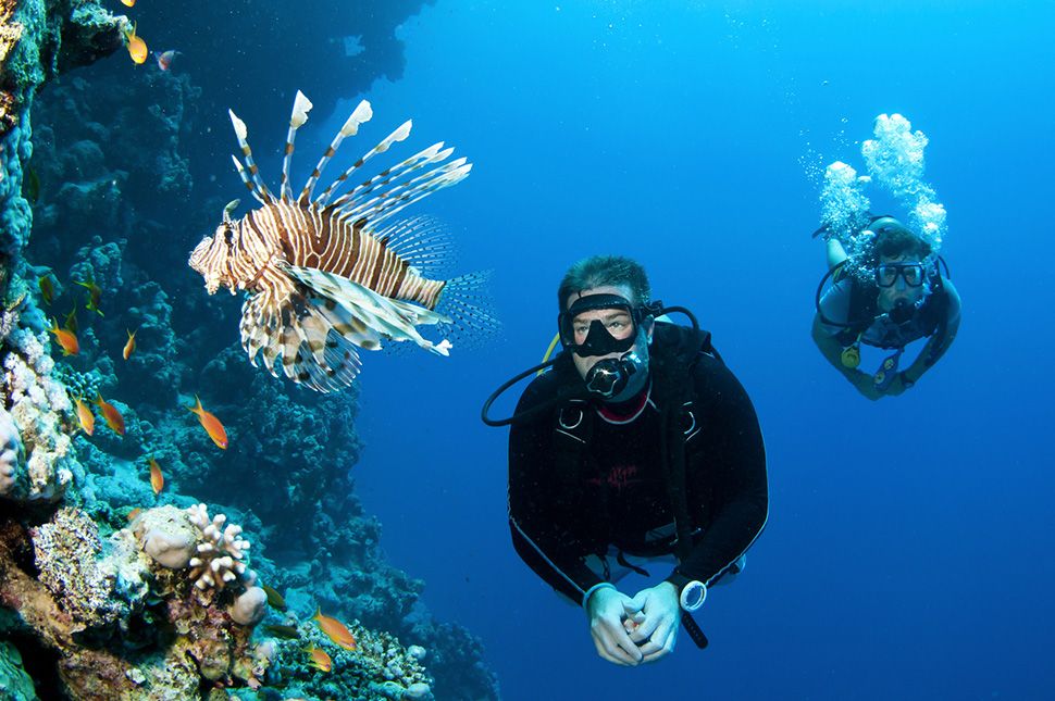 Französisch lernen auf Martinique - Diving