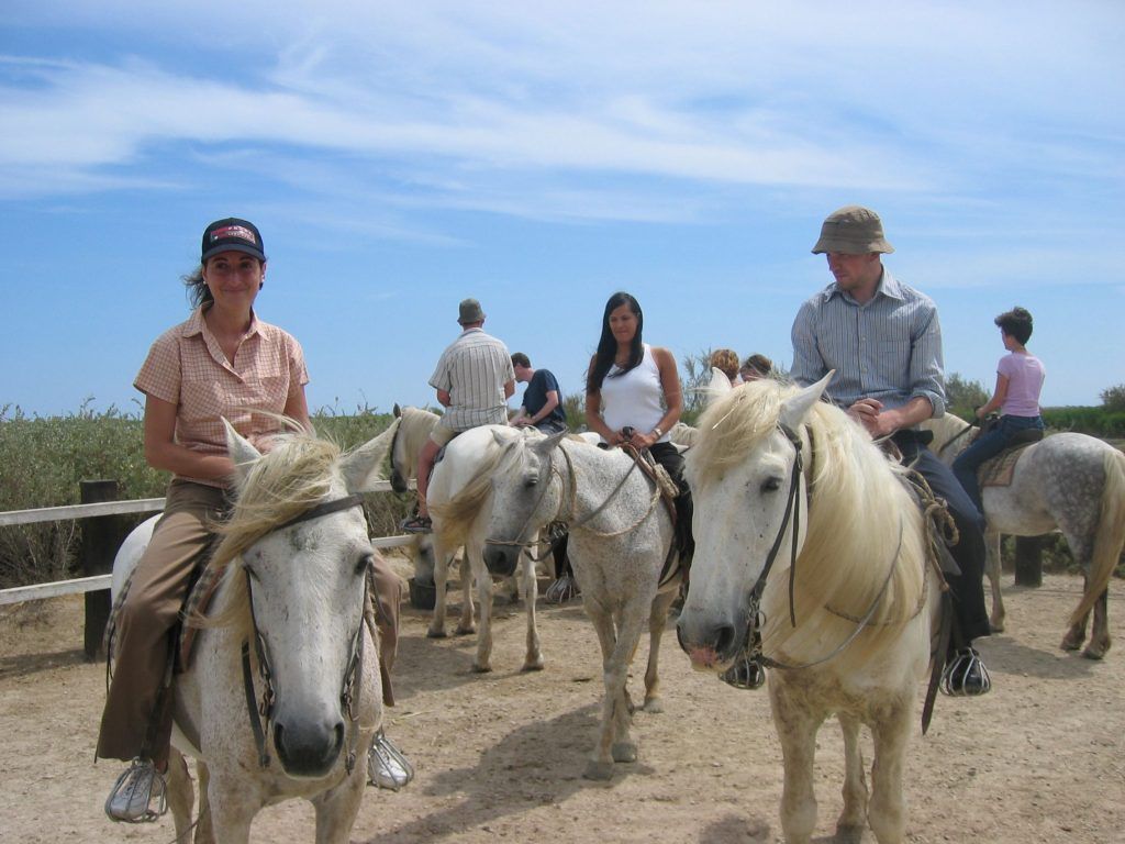 Reiten mit der Sprachschule in Montpellier