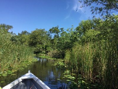 Ausflug ins nahe Donautal