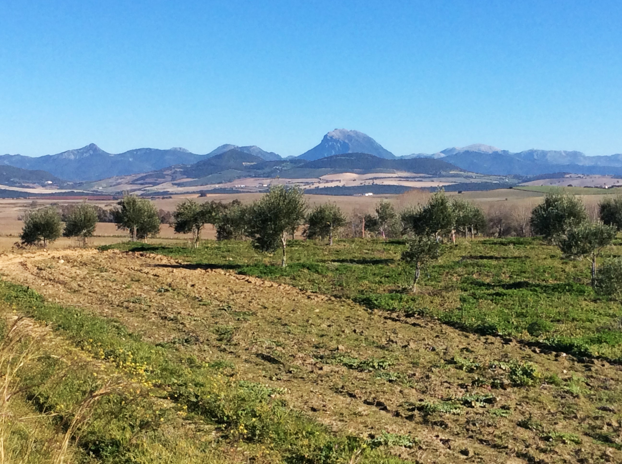 Spanisch lernen in der wildromantischen Sierra de Cádiz, Andalusien