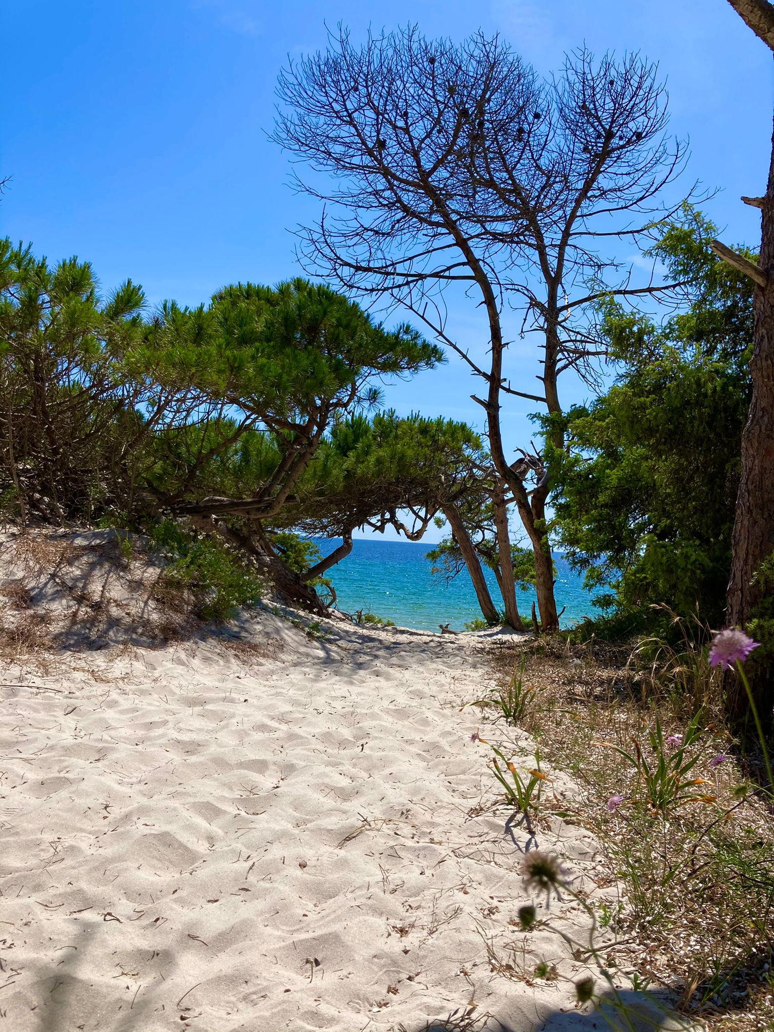 Alghero Strand Maria Pia