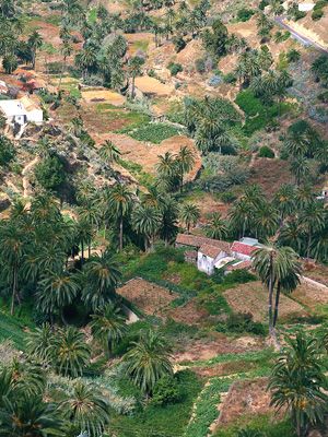 La Gomera, Vallehermoso