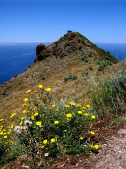 Landschaft bei Milazzo