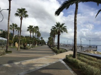 Spachreise nach Zypern - nach dem Sprachkurs lockt die Strandpromenade.