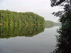 In Pommern gehen die dichten Buchen-und Eichenwälder bis ans Meer, Polnischkurse in Polen