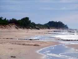 Beach on the Baltic Sea