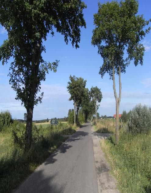 Die weite, unverstellte, fast menschenleere Landschaft Pommerns eignet sich sehr gut für Fahrrad Ausflüge während Ihres Polnisch Sprachkurses in Kolberg